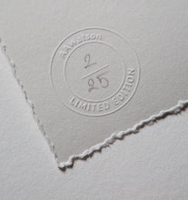 Load image into Gallery viewer, AAWatson Giclee AAWatson 'Hell's Teeth' | Limited Edition Print