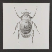 Load image into Gallery viewer, Magnus Gjoen Print Magnus Gjoen | Scarab Beetle - Art Therapy Framed Print