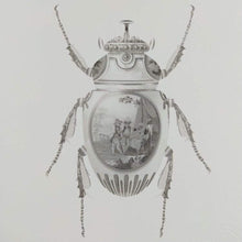 Load image into Gallery viewer, Magnus Gjoen Print Magnus Gjoen | Scarab Beetle - Art Therapy Framed Print