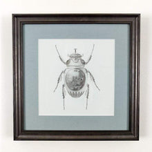 Load image into Gallery viewer, Magnus Gjoen Print Magnus Gjoen | Scarab Beetle - Art Therapy Framed Print