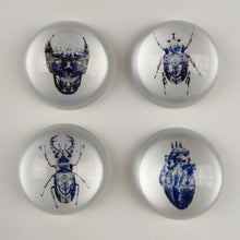 Load image into Gallery viewer, Magnus Gjoen Sculpture Magnus Gjoen | Delft Paperweight set of 4 Framed - Limited Edition 3D Art