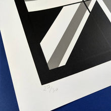 Load image into Gallery viewer, Stender Screen print Stender | Slider Limited Edition Screen Print