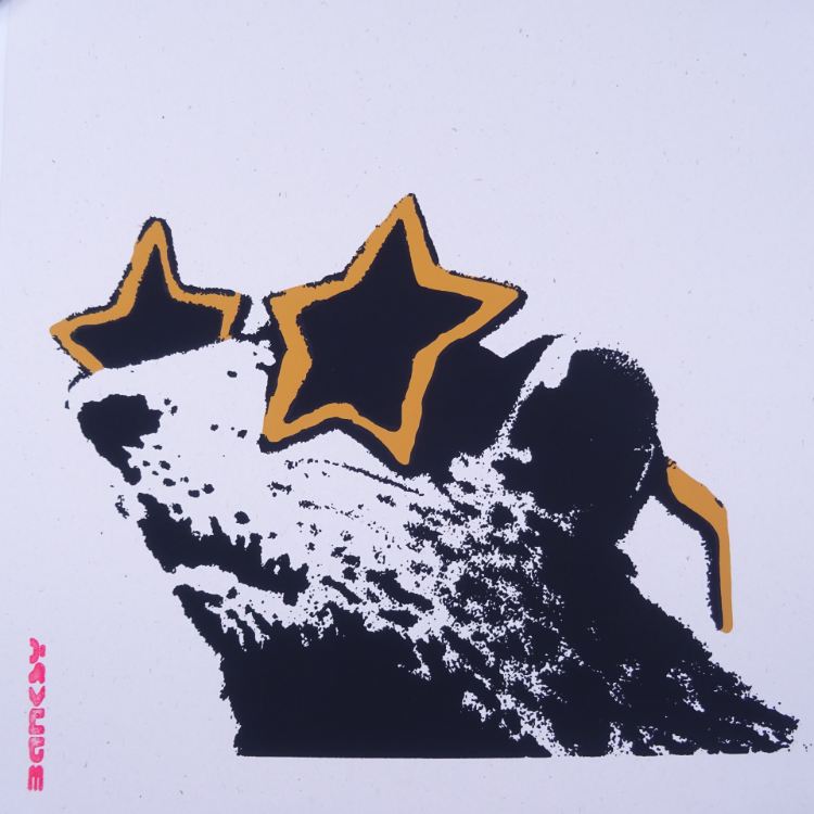 West Country Prince Screen print Banksy Sunglasses Rat Replica by Artist West Country Prince