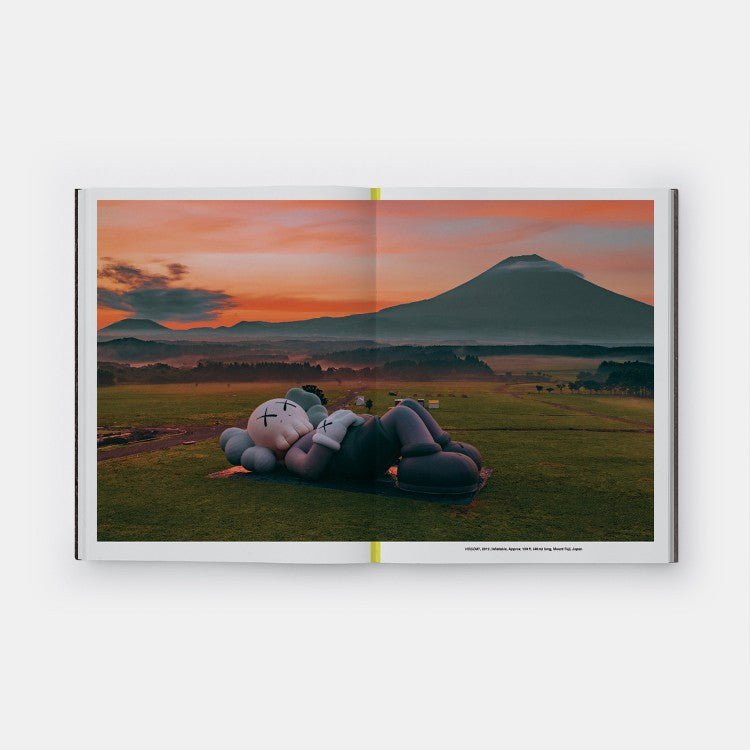 KAWS | What Party | Signed | Limited Edition book – We Have
