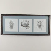 Load image into Gallery viewer, Magnus Gjoen Print Magnus Gjoen | Art Therapy Framed Set of 3 Prints, Skull, Beetle, Grenade
