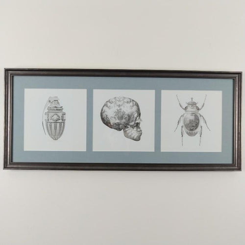Magnus Gjoen Print Magnus Gjoen | Art Therapy Framed Set of 3 Prints, Skull, Beetle, Grenade