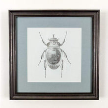 Load image into Gallery viewer, Magnus Gjoen Print Magnus Gjoen | Scarab Beetle - Art Therapy Framed Print
