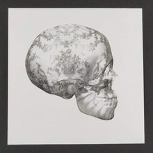 Load image into Gallery viewer, Magnus Gjoen Print Magnus Gjoen | Skull - Art Therapy Framed Print
